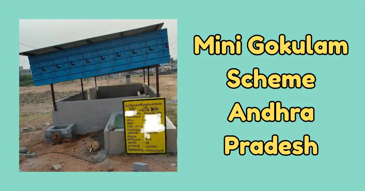 Mini Gokulam Scheme Andhra Pradesh (1)