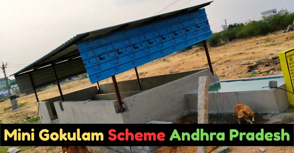 Mini Gokulam Scheme Andhra Pradesh